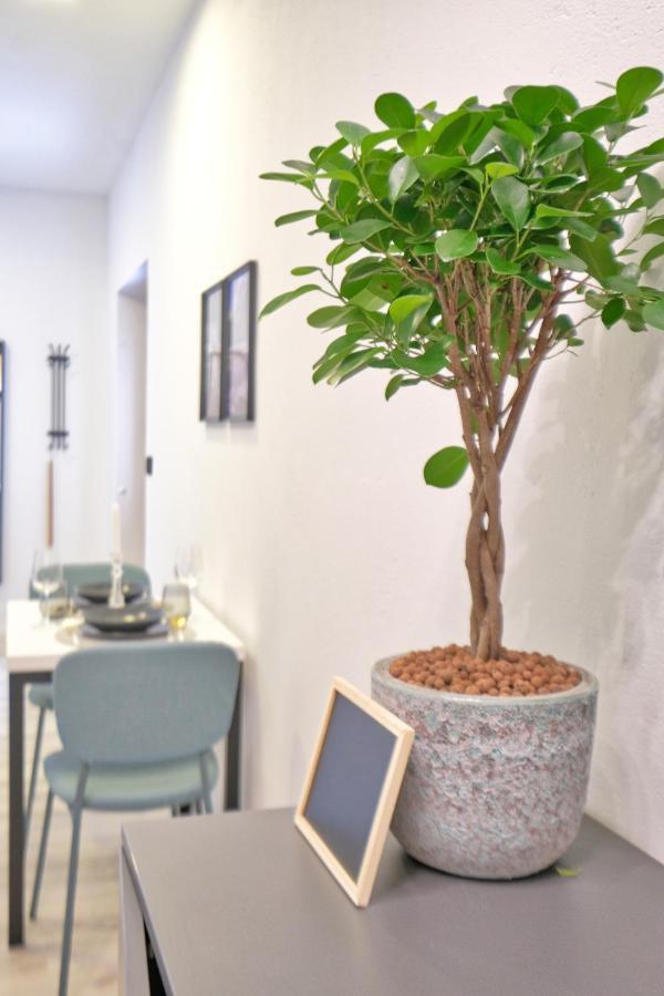 Auzlak Hisa, Apartments. Luče Zewnętrze zdjęcie